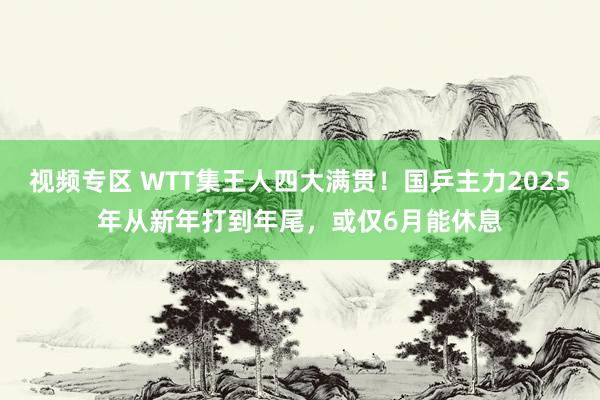 视频专区 WTT集王人四大满贯！国乒主力2025年从新年打到年尾，或仅6月能休息