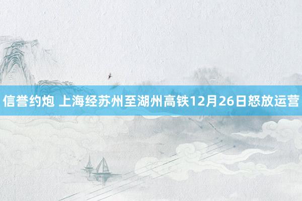 信誉约炮 上海经苏州至湖州高铁12月26日怒放运营