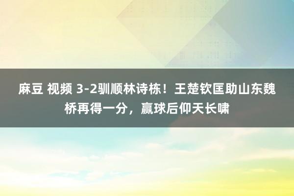 麻豆 视频 3-2驯顺林诗栋！王楚钦匡助山东魏桥再得一分，赢球后仰天长啸