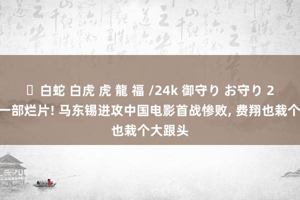 ✨白蛇 白虎 虎 龍 福 /24k 御守り お守り 2025第一部烂片! 马东锡进攻中国电影首战惨败， 费翔也栽个大跟头