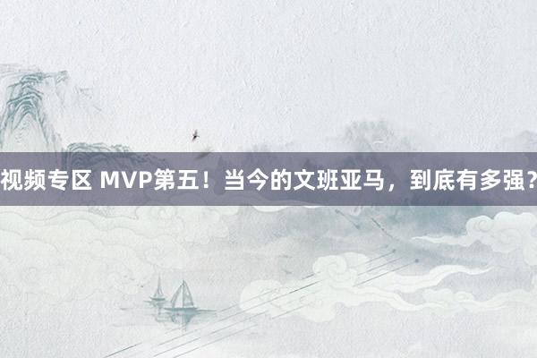 视频专区 MVP第五！当今的文班亚马，到底有多强？