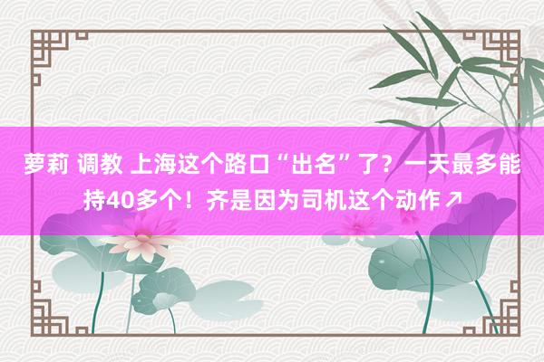 萝莉 调教 上海这个路口“出名”了？一天最多能持40多个！齐是因为司机这个动作↗