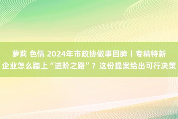 萝莉 色情 2024年市政协做事回眸丨专精特新企业怎么踏上“进阶之路”？这份提案给出可行决策