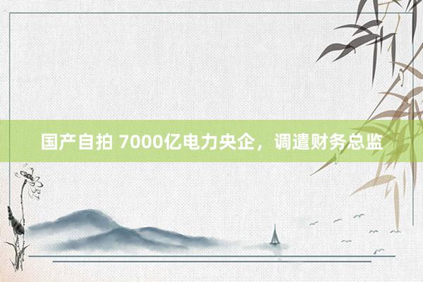 国产自拍 7000亿电力央企，调遣财务总监