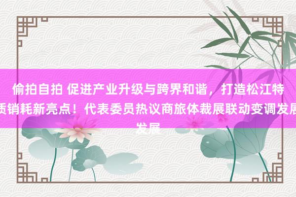 偷拍自拍 促进产业升级与跨界和谐，打造松江特质销耗新亮点！代表委员热议商旅体裁展联动变调发展