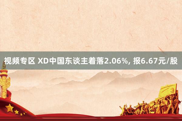 视频专区 XD中国东谈主着落2.06%， 报6.67元/股