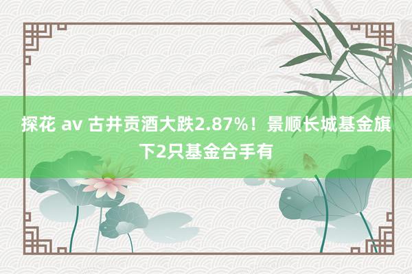 探花 av 古井贡酒大跌2.87%！景顺长城基金旗下2只基金合手有