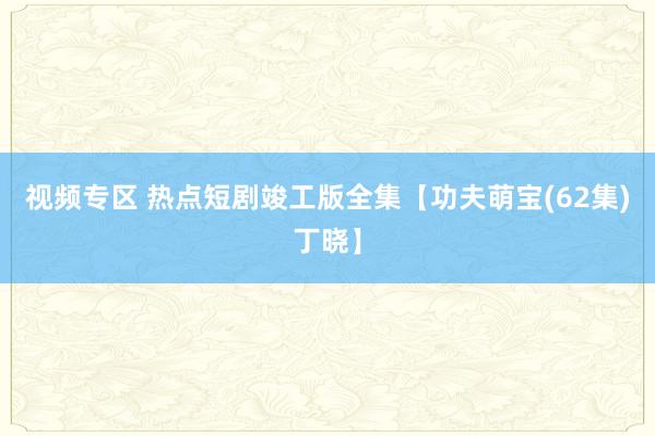 视频专区 热点短剧竣工版全集【功夫萌宝(62集)丁晓】