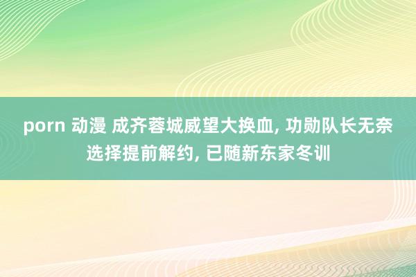 porn 动漫 成齐蓉城威望大换血， 功勋队长无奈选择提前解约， 已随新东家冬训