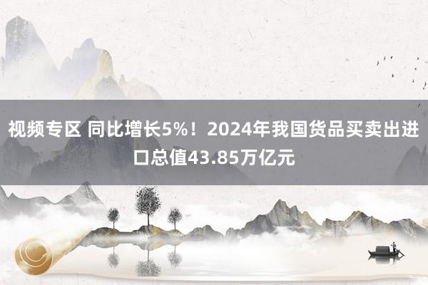 视频专区 同比增长5%！2024年我国货品买卖出进口总值43.85万亿元