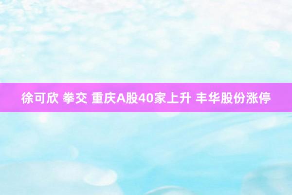 徐可欣 拳交 重庆A股40家上升 丰华股份涨停