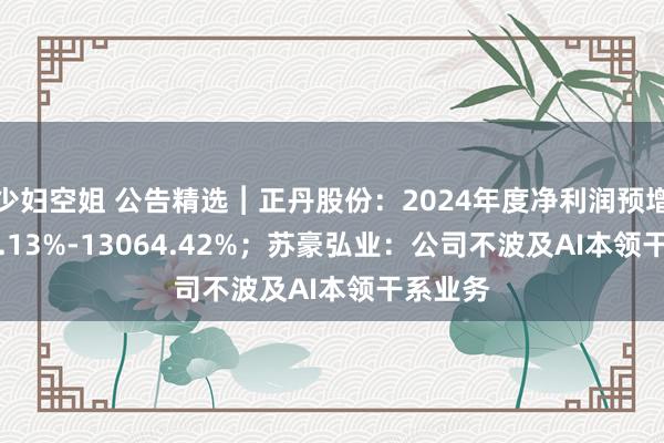 少妇空姐 公告精选︱正丹股份：2024年度净利润预增11039.13%-13064.42%；苏豪弘业：公司不波及AI本领干系业务