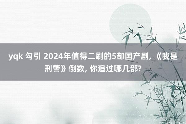 yqk 勾引 2024年值得二刷的5部国产剧， 《我是刑警》倒数， 你追过哪几部?