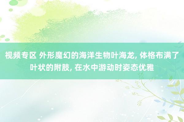 视频专区 外形魔幻的海洋生物叶海龙， 体格布满了叶状的附肢， 在水中游动时姿态优雅