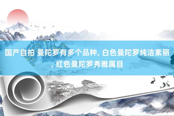 国产自拍 曼陀罗有多个品种， 白色曼陀罗纯洁素丽， 红色曼陀罗秀雅属目