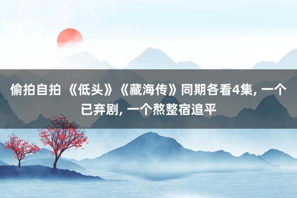 偷拍自拍 《低头》《藏海传》同期各看4集, 一个已弃剧, 一个熬整宿追平